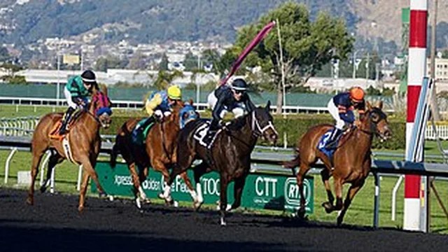 Play Horse Racing Betting at crown-88sg.com